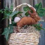 Extreme Primitive Bunny Plant Poke