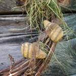 Primitive Bee Plant Pokes - Set Of 3 on Luulla