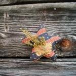 Primitive Americana Star - July 4 Decoration With..